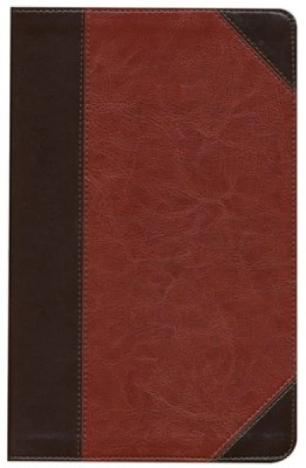 ESV Thinline Bible (TruTone, Brown/Cordovan, Portfolio Design)