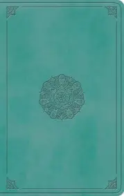 ESV Large Print Value Thinline Bible (TruTone Turquoise)