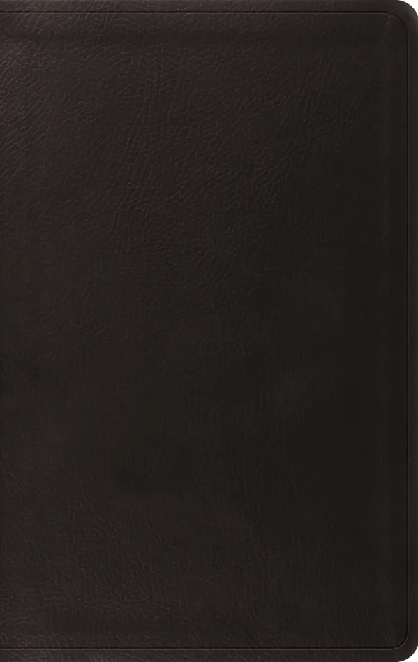ESV Value Thinline Bible (TruTone, Black)