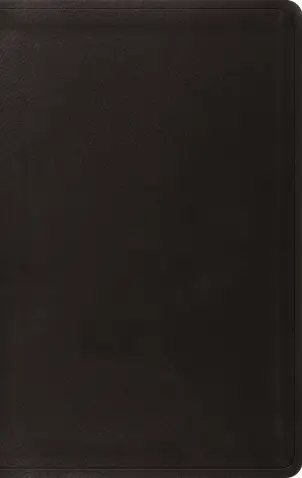 ESV Value Thinline Bible (TruTone Black)