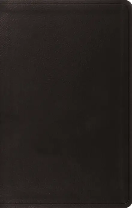 ESV Value Thinline Bible (TruTone, Black)