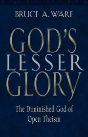 God's Lesser Glory