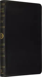 ESV Bible – No Cross–References