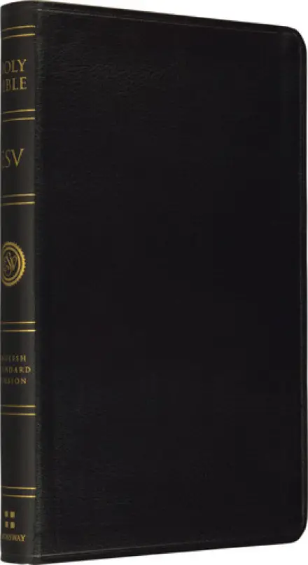 ESV Bible – No Cross–References