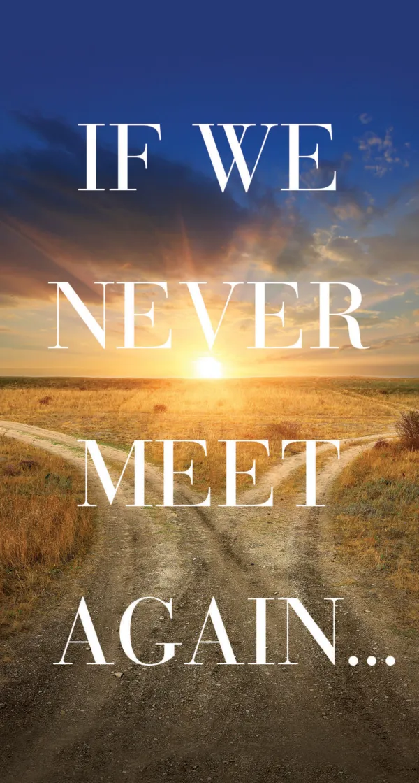 If We Never Meet Again