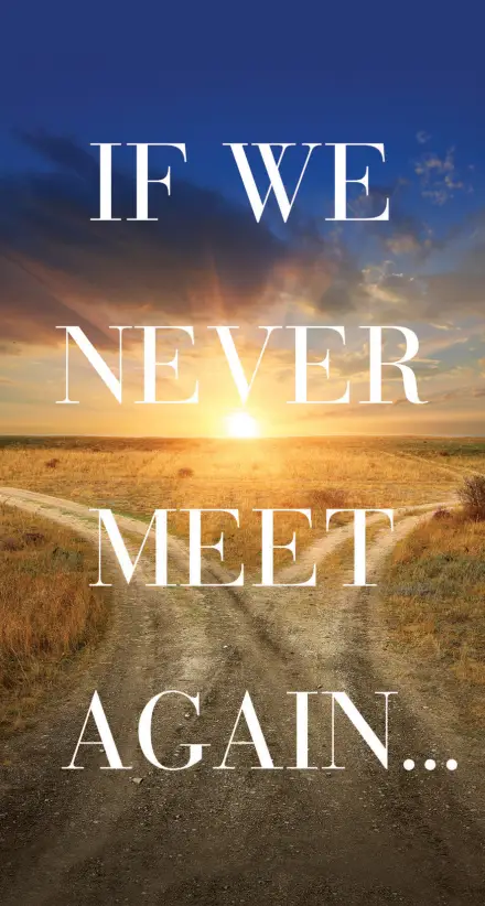 If We Never Meet Again