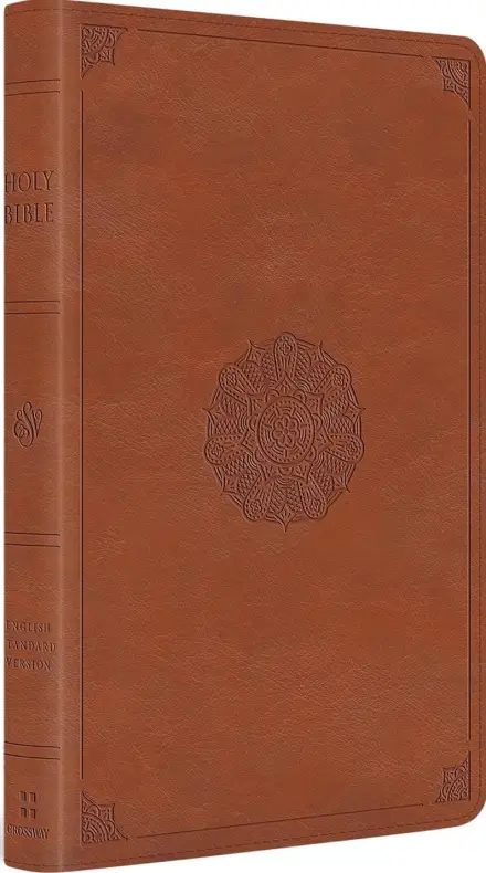 ESV Large Print Thinline Bible