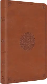 ESV Large Print Thinline Bible