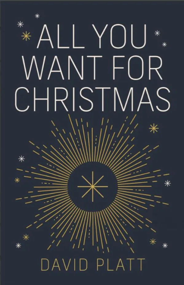 All You Want For Christmas