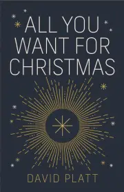 All You Want For Christmas