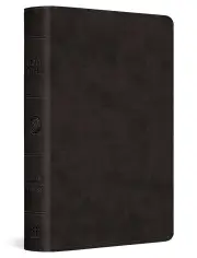 ESV Large Print Bible (TruTone, Black)