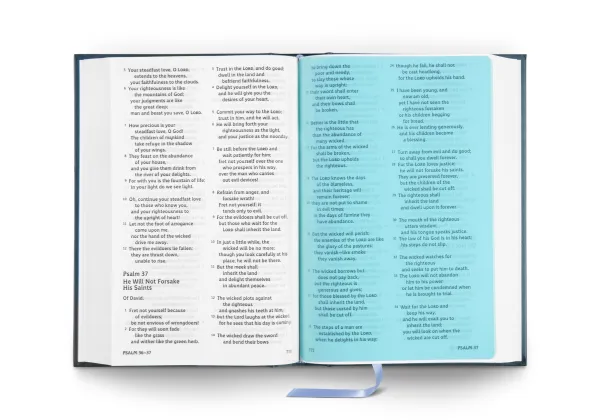 ESV Holy Bible: Dyslexia-Friendly Edition