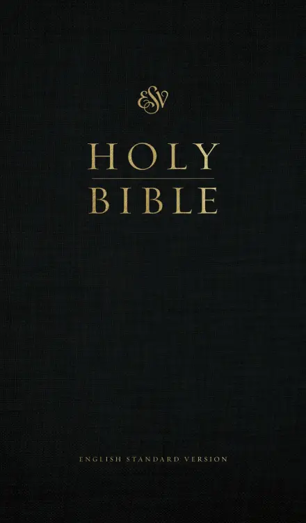 ESV Church Bible, Large Print (Hardcover, Black)